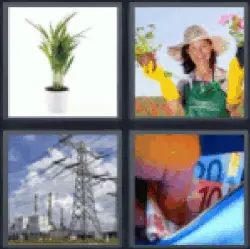 4-pics-1-word-plant