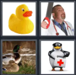4 Pics 1 Word Quack