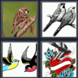 4-pics-1-word-sparrow