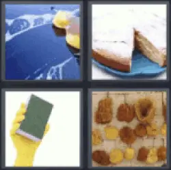 4 Pics 1 Word Sponge