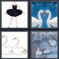 4 Pics 1 Word Swans
