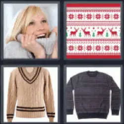 4 Pics 1 Word Sweater