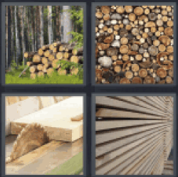 4-pics-1-word-timber