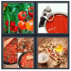 4 Pics 1 Word Tomatoes