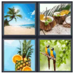 4-pics-1-word-tropical