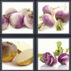 4 Pics 1 Word Turnip