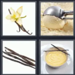4-pics-1-word-vanilla
