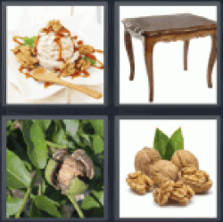 4-pics-1-word-walnut