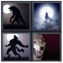 4 pics 1 word wolf moon