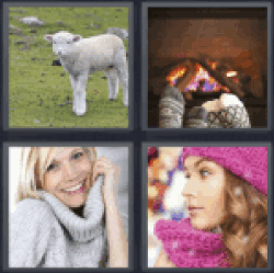 4 Pics 1 Word Woolly