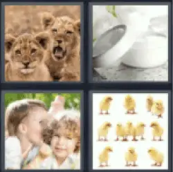 4 Pics 1 Word Young