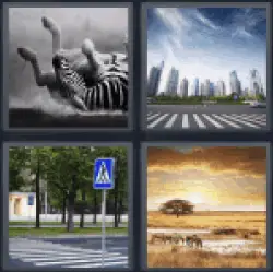4 Pics 1 Word Zebra