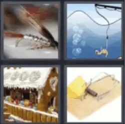 4 Pics 1 Word Insects