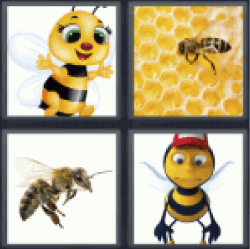 4 pics 1 word 3 letter honeycomb, bee