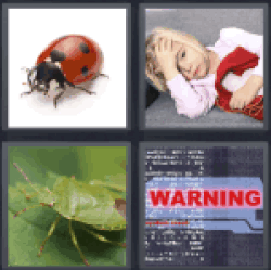 4 pics 1 word 3 letters ladybug, sick girl, warning, green bug