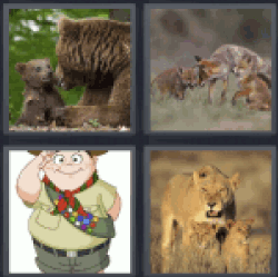 4 pics 1 word 3 letter lioness with cubs, boy scout, bear with cub, foxes