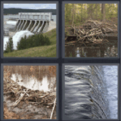 4 pics 1 word beaver houses