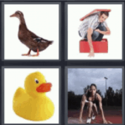 4 pics 1 word rubber duck