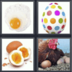 4 Pics 1 Word hen