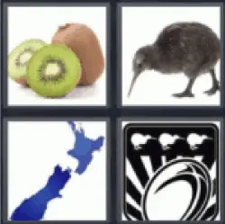4-pics-1-word-kiwi