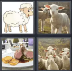 4 Pics 1 Word drawing of sheep
