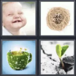 4 pics 1 word baby laughing nest