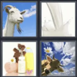 4 pics 1 word goat