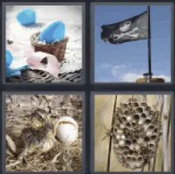 4 pics 1 word blue egg pirate flag