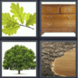 4 Pics 1 Word leaves tree