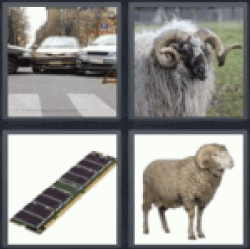 4-pics-1-word-ram