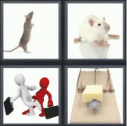 4-pics-1-word-rat