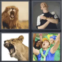 4 Pics 1 Word lion