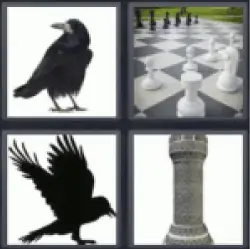 4 Pics 1 Word crow