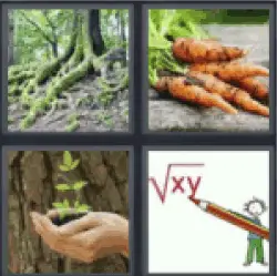 4 Pics 1 Word carrots