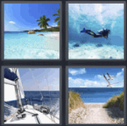 4 Pics 1 Word beach diver