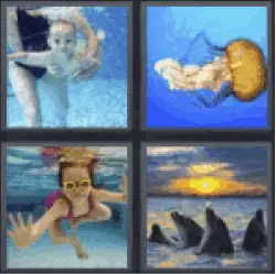4 Pics 1 Word jellyfish. Dolphins