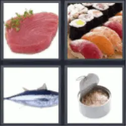 4 Pics 1 Word fish