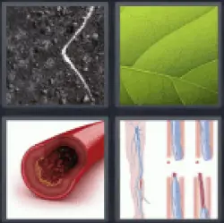 4 pics 1 word 4 letters answer list