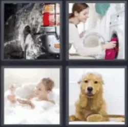 4 Pics 1 Word washing car