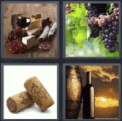 4 pics 1 word grapes