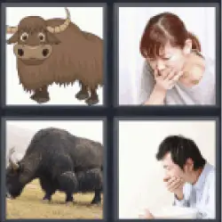 4 Pics 1 Word Bull