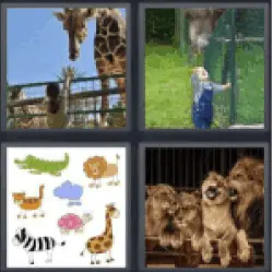 4 pics 1 word 3 letters lion, giraffe, girl, animal cartoon