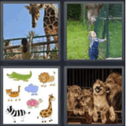 4 pics 1 word giraffe lion