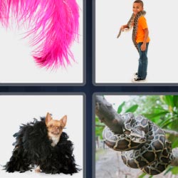 4 pics 1 word 3 letters snake, feather... 