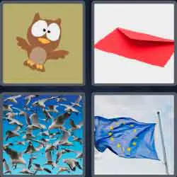 4 pics 1 word owl, red envelope, Many seagulls or birds flying