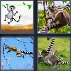 4 pics 1 word 5 letters elephant