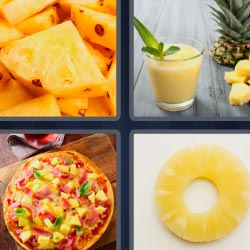 4 pics 1 word Hawaiian Pizza