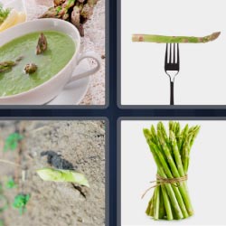 4 pics 1 word green soup