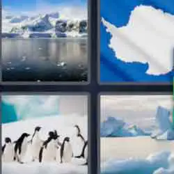 4 pics 1 word 9 letters penguins, ice, iceberg