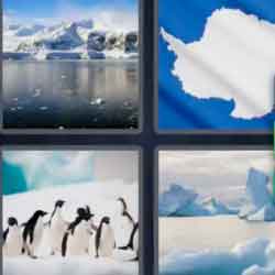 4 pics 1 word 9 letters penguins, ice, iceberg